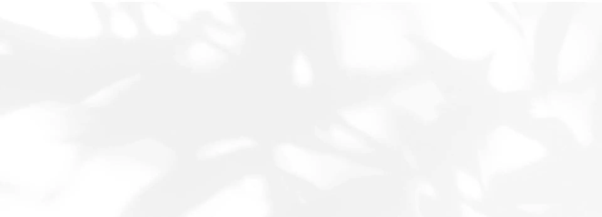 Blurred gray leaf shadows on white suggest the calming vibe at Refresh MedSpa in Cape Coral, FL, known for hydrafacial treatments.